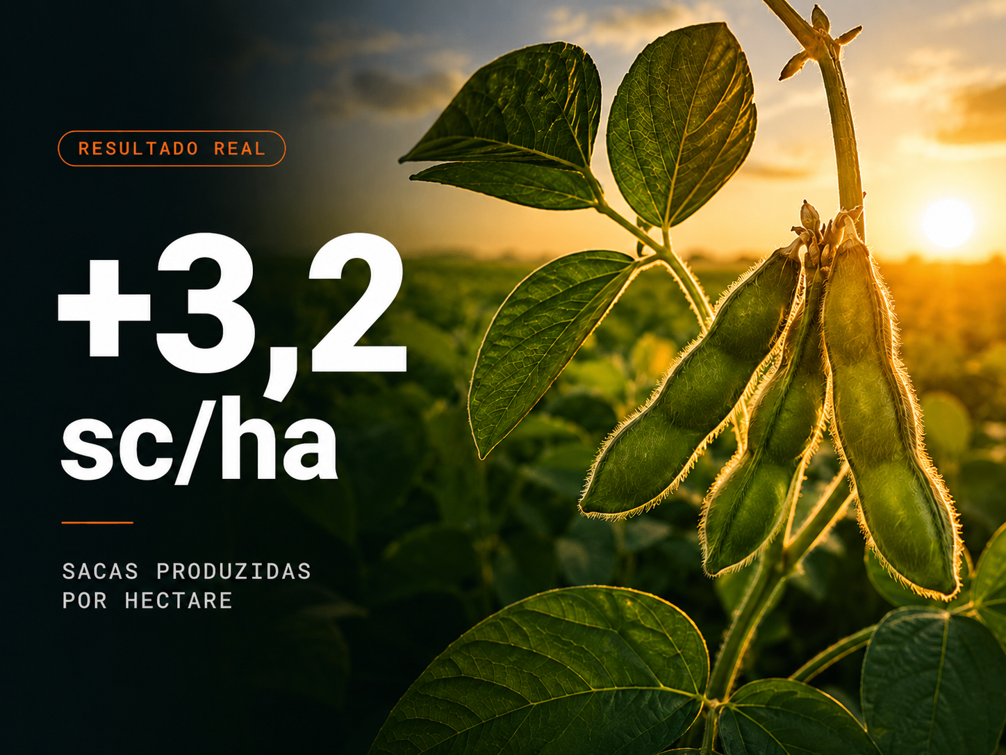 Resultado Real Soja — +3,2 sc/ha