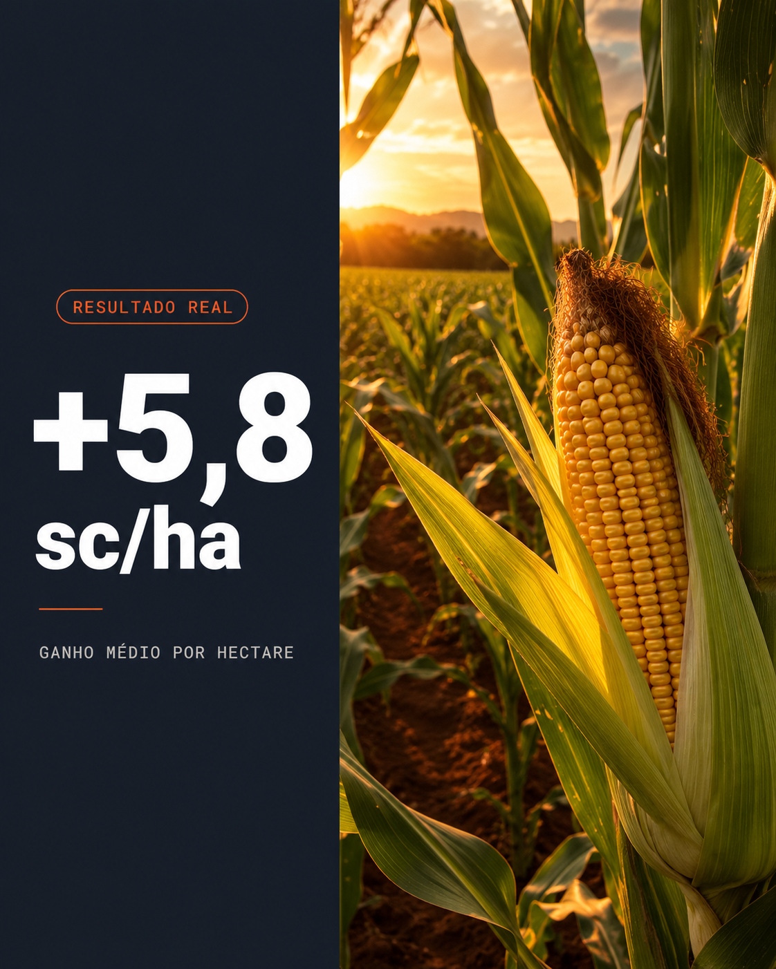 Resultado Real Milho — Ganho médio de 5,8 sc/ha