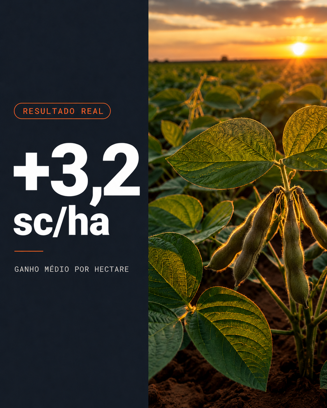 Resultado Real Soja — Ganho médio de 3,2 sc/ha